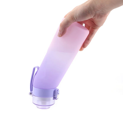 FlavourFlow Water Bottle